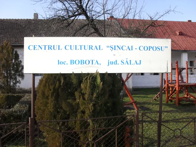 Centrul cultural Șincai-Coposu